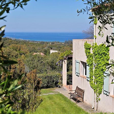 Domaine Punta Della Guardia Villa Vue Mer Dans Nature Protegee, Plage A 1,5 Km Cervione Eksteriør bilde